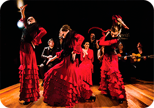 group-activities-madrid-flamenco-show