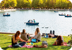 Que hacer hoy en Madrid - Picnic